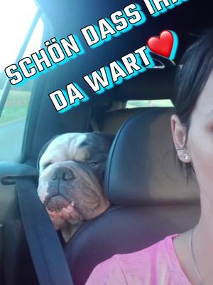 A post by @katinka1101 on TikTok caption: #katinkaedition #kataleyaedition #loyaltyisroyalty #herzmenschen#beklopptabergeil🤣🔥#@🐾𝙉𝙞𝙣𝙖 𝘿.🐾 #whatthefuckisinit #❤️ #schöndassdudawarst #fypage #fypシ゚viral #