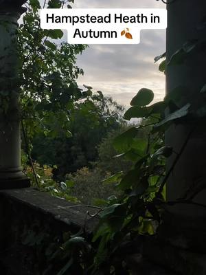 A post by @martintran57 on TikTok caption: Enter Autumn. #hampsteadheath #hampsteadheathgardenandpergola #gardens #fyp #autumn