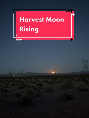 A post by @chillyjilly95 on TikTok caption: The Harvest Moon rising over the desert 🌕 9-29-23 #timelapse #harvestmoon #fullmoon #moon 