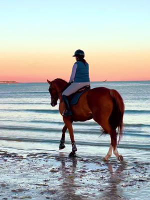 A post by @bingo_du_parc on TikTok caption: C’est pas parce qu’on ne peut pas être ensemble … 🧡💛 #gossipgirlhere #horse #tiktokviral #horseriding 