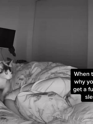 A post by @hopperkitten on TikTok caption: Bedtime with a kitten #cattok #kittensoftiktok 