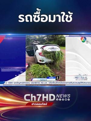 A post by @ch7hd_news on TikTok caption: หลายคนซื้อ #รถเก๋ง มาอาจจะไม่ค่อยได้ใช้งานอะไรหนักมาก แต่สำหรับบ้านนี้ใช้งานเต็มที่มาก ถึงขั้นเอาไปขน #หญ้า เลย #ข่าวออนไลน์7HD#Ch7HDNews#ข่าวTikTok