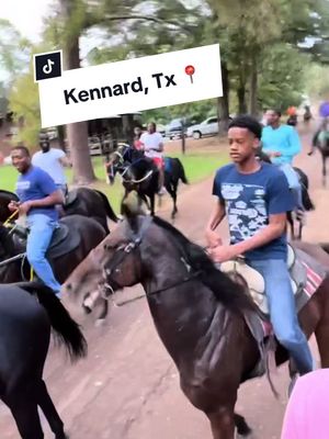 A post by @crlyfestyle on TikTok caption: Sunday Funday, Kennard, Texas. #crlyfestyle #rackinghorse #singlefootinghorse #horsesoftiktok #speedsters #kennard #texas #936 #sundayfunday #inthesticks #october #libra #libragang #octoberfest #weekendvibes #peace #letsride #yg #tydollasign #anthem 