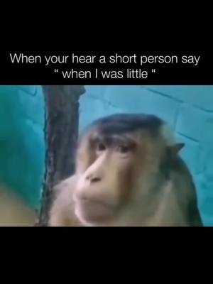 A post by @tuuuunceeeer on TikTok caption: #pembe #cennetmahallesi #monkey #littleperson #little #short #shortperson #viral #viralvideo #tiktok #tiktokgermany #germany🇩🇪 #turkish #türkiye #foryou #foryoupage #fypシ #fypシ゚viral #fypage