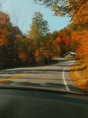 A post by @foundandcurated on TikTok caption: Fall trips to Vermont ❤️🍁 #fallinvermont #fallgirly #s #fallinnewengland #vtfall #autumnvibes🍁 