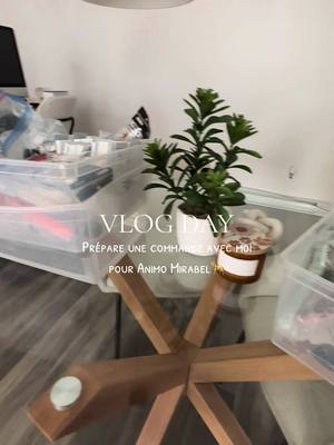 A post by @jade.harly1 on TikTok caption: #CapCut Prepare une commande avec moi pour Animo Mirabel @animoetcmirabel  #order #business #vlogday #road #automne #fyp #dogaccessory