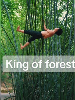 A post by @kungfufollowing on TikTok caption: King of forest #wushu #martialarts #shaolinkungfu #shaolinchildren #shaolintemple #foryoupage #shaolin #foryou 