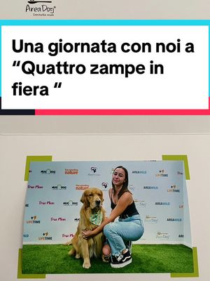 A post by @adonis_thegolden on TikTok caption: Una giornata con noi a “quattro zampe in fiera” Ps. Abbiamo dovuto rifare il video perché l’altro ci è stato tolto ☹️ #goldenretriverworld #retrievers #adonisthegolden #2022 #quattrozampeinfiera #goldens #goldensofinstagram #dogsoftiktok #doglovers #dogstagram 