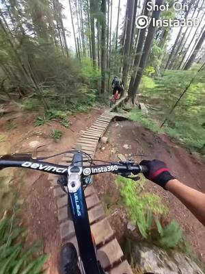 A post by @ddangerousddave on TikTok caption: How sick is this trail? #mtb #mtblife #woodwork #skinnies #balance #downhillmtb #enduro #downhill 