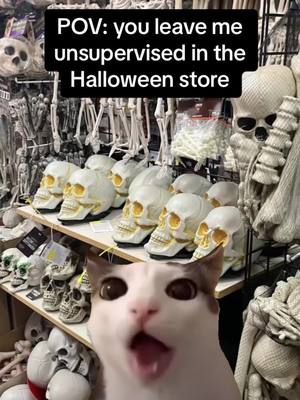 A post by @bitsyboo.02 on TikTok caption: I love #halloween #spirithalloween #skeleton #halloweendecor #alwayshungry