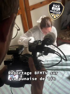 A post by @brigade_extreme on TikTok caption: #pourtoi #brigadeextreme #hygisud3d #bfmtv #marseille #bedbugs #punaisesdelit #foryou #bedbug #punaisedelit #punaisesdelitmarseille #cnews #francetv #tf1 #franceinfo 