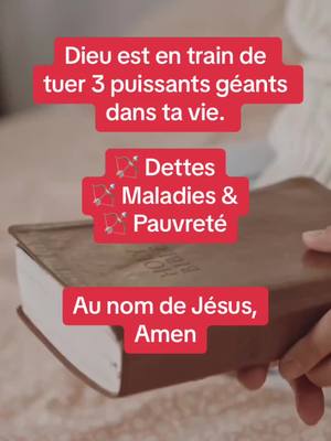 A post by @loidelattraction3 on TikTok caption: #LoiDeL'Attraction #Désirs #Univers #JeSuisCréateur #Abondance #Affirmations #Métaphysique #Spiritualité #TikTokSpirituel #ParolesSages #Décret #Prière #Amen #Prier #Foi #Miracles 