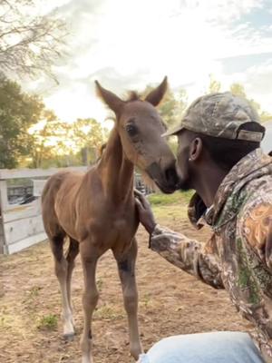 A post by @crlyfestyle on TikTok caption: Just a little morning coffee in the beard 🤣☕️ #crlyfestyle #goodmorning #saturday #blessed #cowboylife #blackcowboys #camoseason #studcolt #horsesoftiktok #edit #fyp #texas #horsekisses #heneedsaname #october #libra #turningheads #mikejones #liftedtrucks