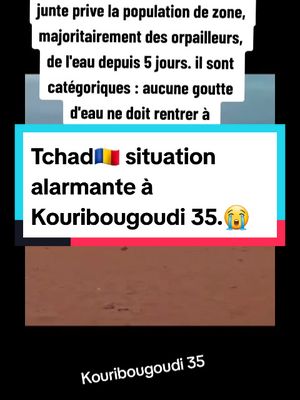 A post by @djiddofils on TikTok caption: #tchadien🇹🇩tiktok #ndjamena🇹🇩🇹🇩 #transformateurs #tchadiennegirl💙💛❤️ #tchad #doba #Niger #burkinatiktok🇧🇫 #guineenne224🇬🇳 #tiktokmali🇲🇱223 #centreafrique🇨🇫 #nantes #france🇫🇷 #paris #canada 