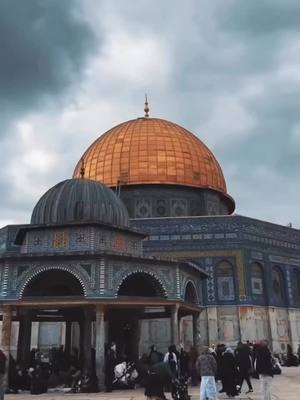 A post by @wardjoury22 on TikTok caption: 🤲اللهم انصر اخواننا في فلسطين 🤲 #فلسطين🇵🇸 #طوفان #fypシ #tiktokarab #المغرب🇲🇦تونس🇹🇳الجزائر🇩🇿 #حركة_لاكسبلورر#حماس#غزة_فلسطين @information urgente 