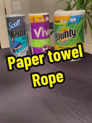 A post by @andipdx on TikTok caption: Can paper towels hold a person?