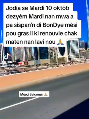 A post by @blancwilemson on TikTok