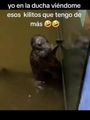 A post by @drebmil26dj on TikTok caption: #granviadelfaraon #mundoanimal 