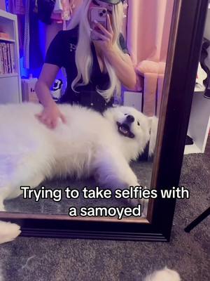 A post by @eumina_ on TikTok caption: Anyone elses dog love getting in the way? 😅 