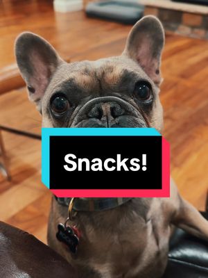 A post by @carrieann380 on TikTok caption: It was the lip lick for me #frechiesoftiktok #snacks #stoplookingatme #frenchies