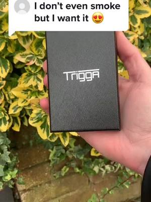 A post by @trigga.lighters on TikTok caption: Me too! #fyp #foryou #electric #rechargeable 