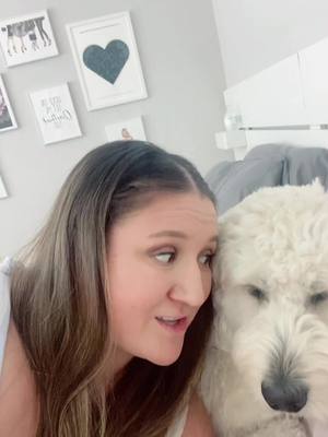 A post by @tiffaknee07 on TikTok caption: He should have told me no…. #oliviarodrigo #puppytherapist 