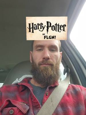 A post by @1andonlyjones on TikTok caption: #happypotter #dadsoftiktok