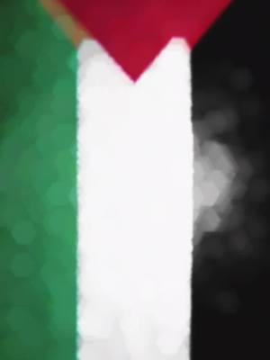 A post by @10bige on TikTok caption: #freepalestine palestine