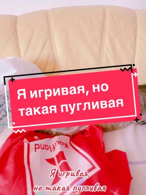 A post by @lusjaundniki on TikTok caption: #кошкалюся #длятебя #fürdich #fypシ