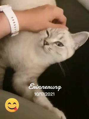 A post by @yukiundnaomi on TikTok caption: #erinnerung