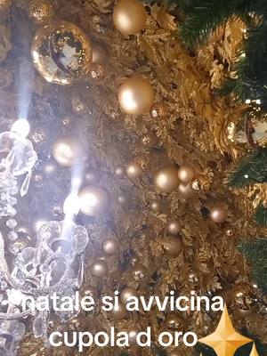 A post by @ficopaolo on TikTok caption: #natale #2022 #fuochidartificio #sarzana #liguria #videopaolo #perme #palledinatale