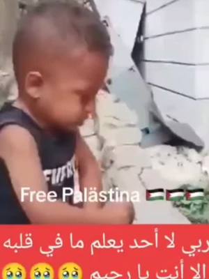 A post by @zayn.habaka on TikTok caption: #freepalestine🇵🇸 #pelastine