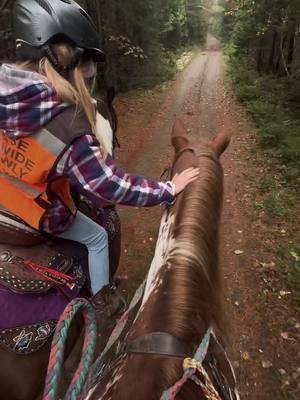 A post by @dreaminofdiamans on TikTok caption: #somebody #horsetok #fall #zachbrryan #trailrides #cowgirls #trailqueens #dream #horsesoftiktok #fyp #painthorse #zlb #trailboss #horses #countrylife #ride #fy