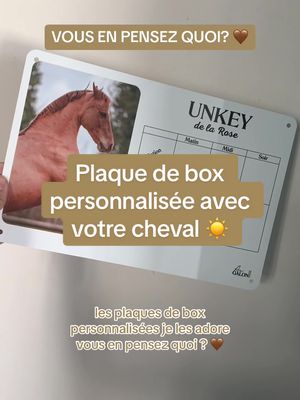 A post by @au_galon on TikTok caption: Alors ? 🤎 #cheval #horse #equestrian #plaquebox