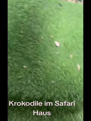 A post by @gzuz.da0 on TikTok caption: @⚠️🌪️Ali Safari ⚡️⚠️ #füralle #krokodile #kroko #mega #fyp #dubai #ClanSafari #tierretungsstation #foryou #startseite #lebenretten #live