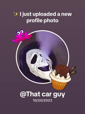 A post by @funny_fins on TikTok