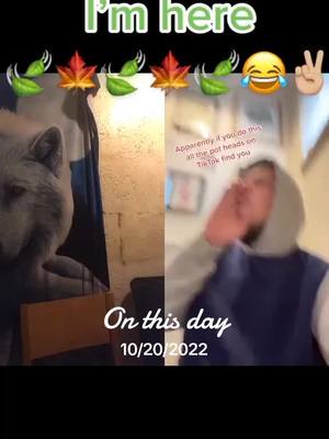 A post by @lordbants on TikTok caption: #onthisday #mrandmrsbants #bantsedition #fyp @Ranty