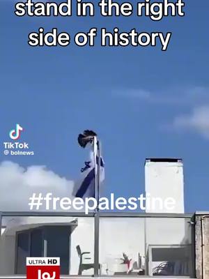 A post by @englaugh007 on TikTok caption: #freepalestine #palestine 