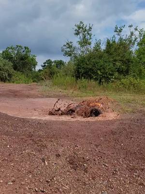 A post by @nicks_hobbies_channel on TikTok caption: Run in the mud. #maxx #traxxas #mud #nickshobbieschannel