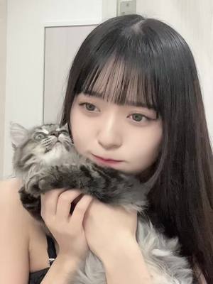 A post by @mo____mo.25 on TikTok caption: 飼いはじめもうすぐ1ヶ月経つんだけど多分めちゃくちゃ舐められてる気がする🥺#丸顔 #アイドル #アキストゼネコ #インスタ #インスタおいで 