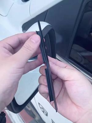 A post by @funnypets.453 on TikTok caption: #car #carrainmirror #tiktokmademebuyit 