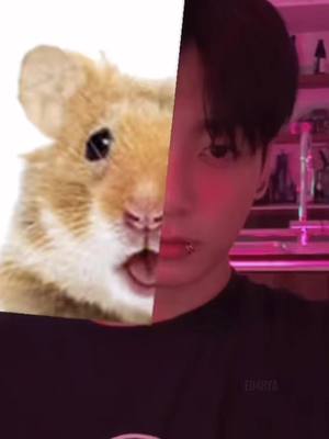 A post by @starlitseoul on TikTok caption: JK is so funny 😂🤣 I'll never get enough of TikTok JK ❤️‍🔥🫠 @AB_______JK_M____RST____Y_ the bunny suits you best 🥹😊🐰 #jungkook #전정국 #tiktokstory #goldenmaknae #btsjk #kookie #fyp