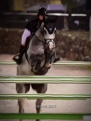 A post by @eque_edit on TikTok caption: Какая ваша любимая масть? #showjumping#horse#edit#конныйспорт#конкур#fyp#velocity 