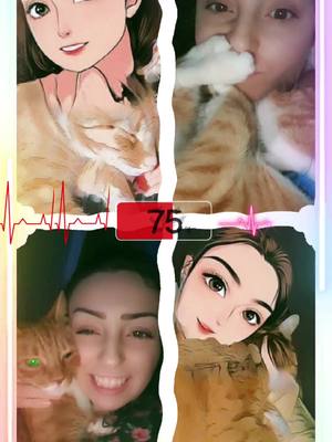 A post by @moody.mayada on TikTok caption: #CapCut #pispos #cat #Love 