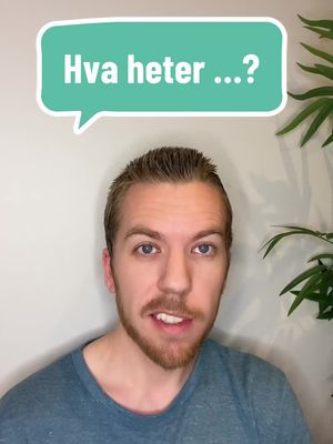 A post by @norwegiansanta on TikTok caption: Fem typiske ting fra badet (five typical things from the bathroom)! Hvor mange av disse kunne du navnet på?🤷‍♂️ #norsk #norwegian #lærenorsk #learnnorwegian 