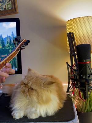 A post by @cocoilemuzik on TikTok caption: Açma zülüflerin çal dedi… • #açmazülüflerin #neşetertaş #bağlama #türkü #gitar #cover #cats #cocoyumben #keşfet #fyp 