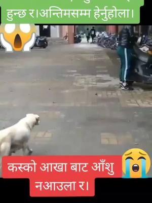 A post by @rangitaneupane123 on TikTok