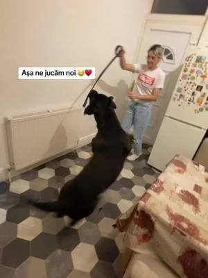 A post by @adela.dy on TikTok caption: #canecorso #🐶❤️ imi era frica ca ma arunca jos 😂😂