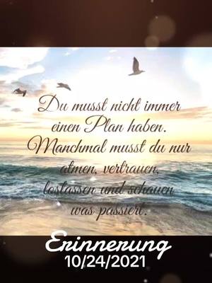 A post by @didi872013 on TikTok caption: #erinnerung #so ist es #schönen nachmittag #urlaub #fypシ゚viral #foryou #fyp #🖤k💎team🖤 #