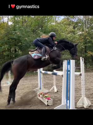 A post by @morganblackaby.eq on TikTok caption: #tatrafarm #clermont #newyork #showjumping #equestrian